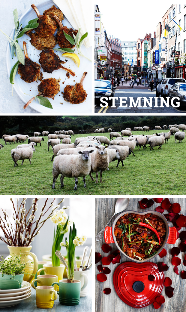 foodstyling_irland-stemning